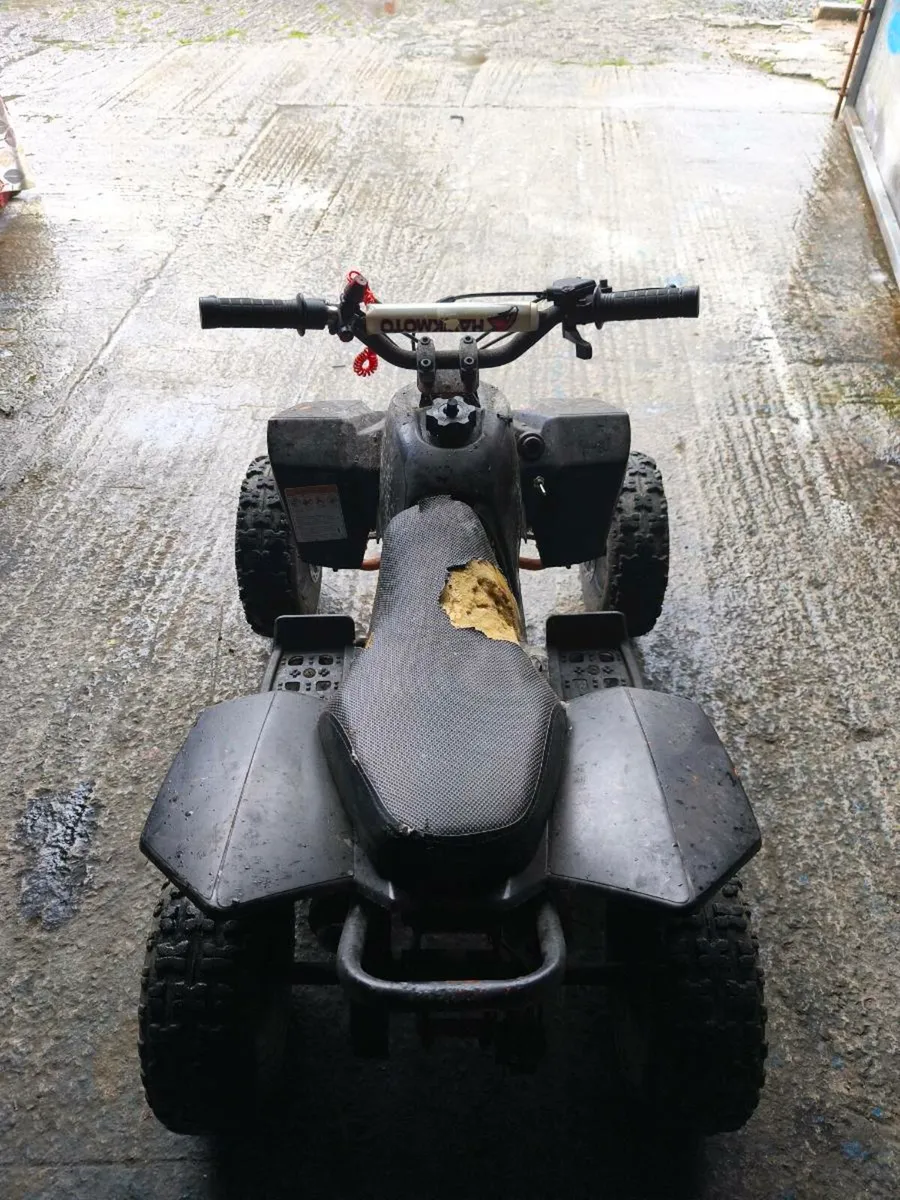 Kids quad - Image 3