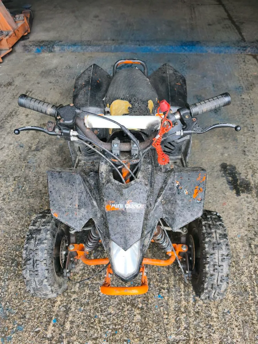 Kids quad - Image 4
