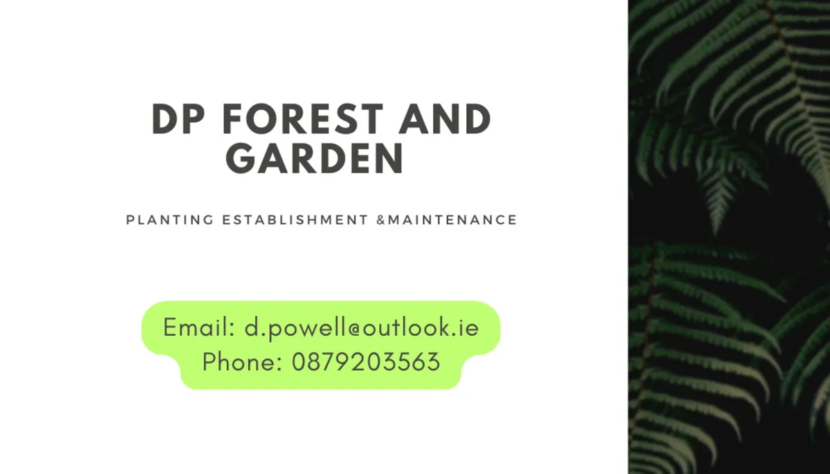 Hedge trees planting maintenance - Image 1