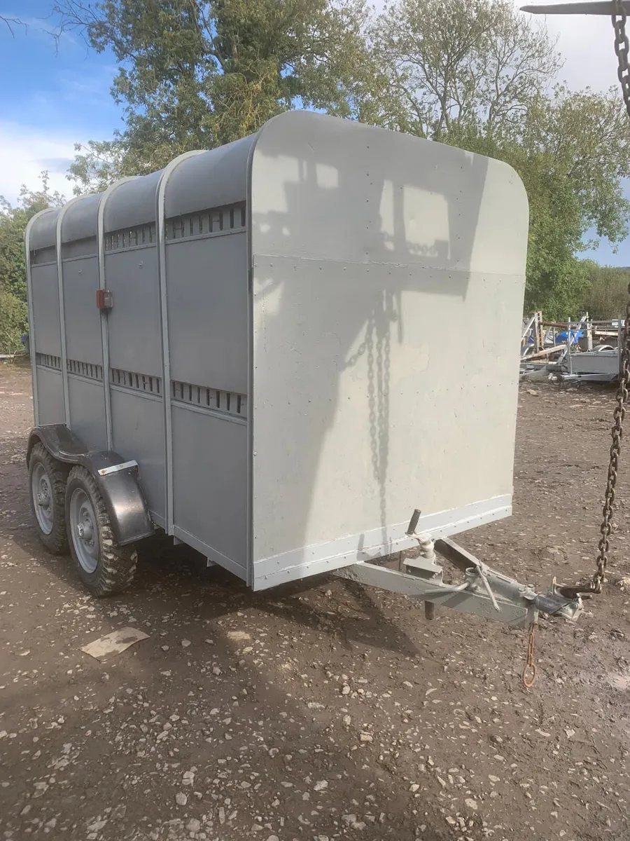 Ifor Williams 10ft cattle trailer - Image 1