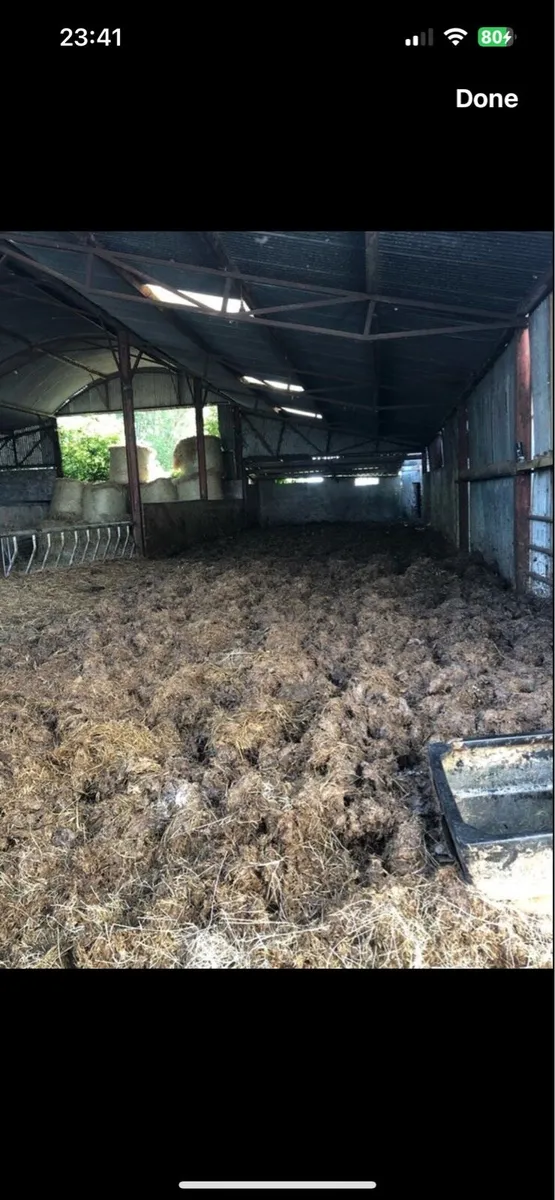 Dung - Free