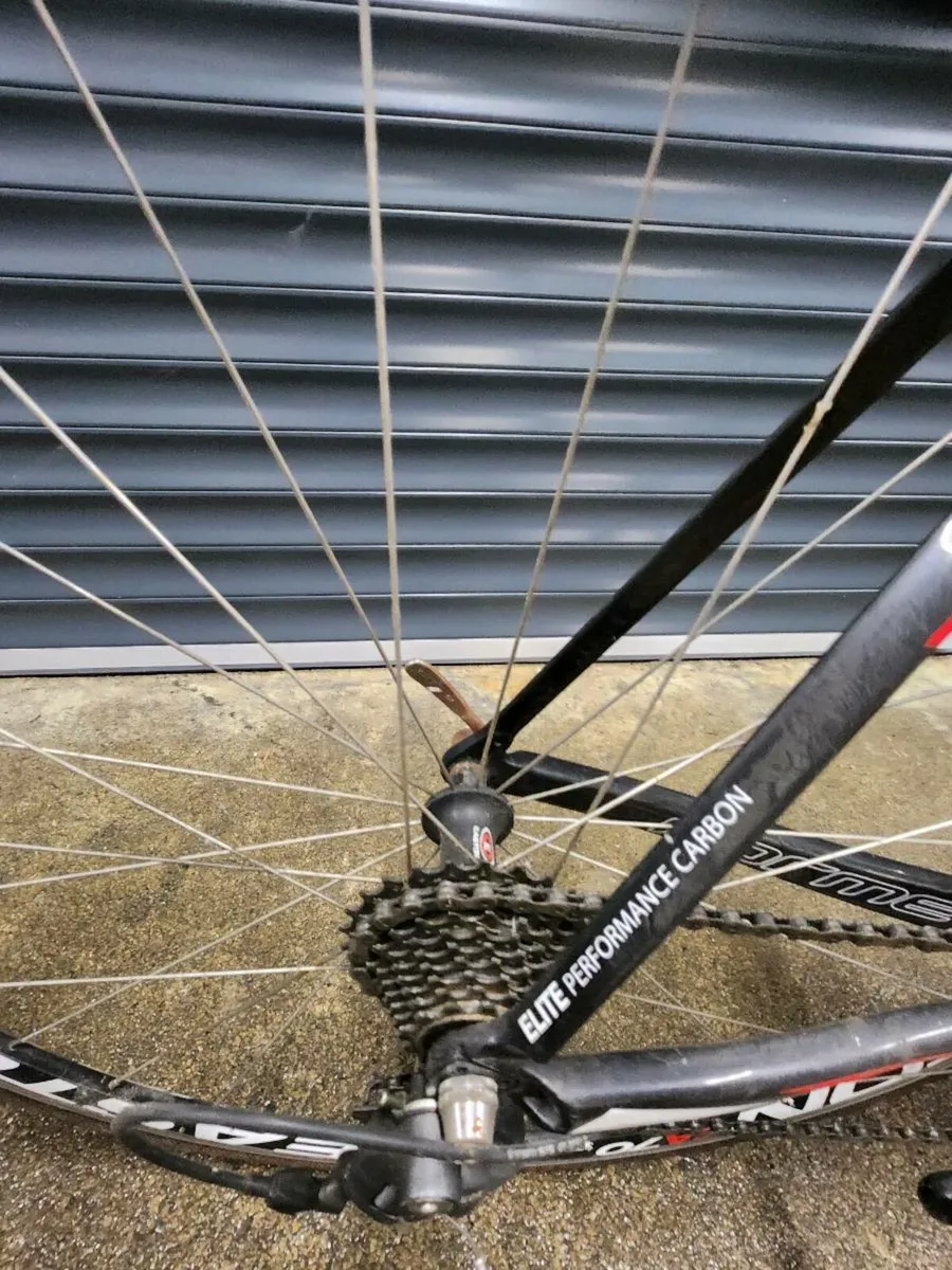 2013 53cm FORME 1.0 Comp - Image 3