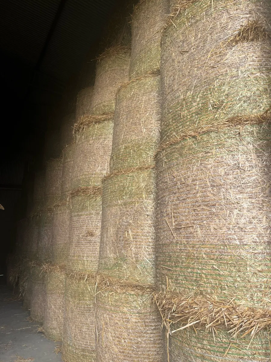 Straw - Image 2