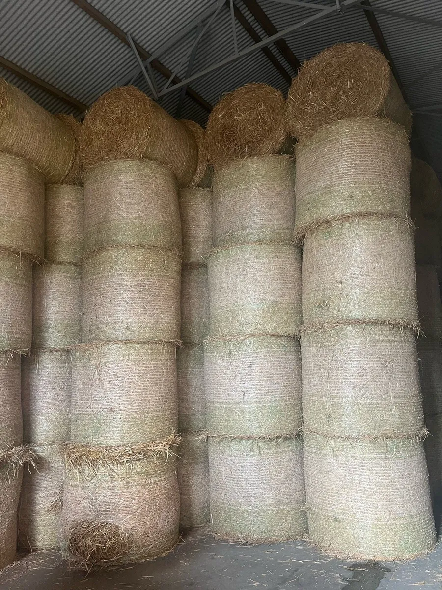 Straw - Image 3