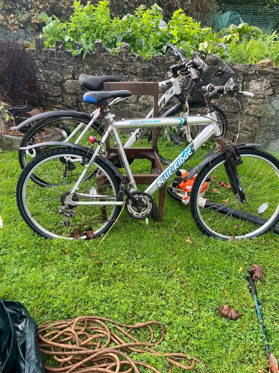 Men’s bicycle - Image 1
