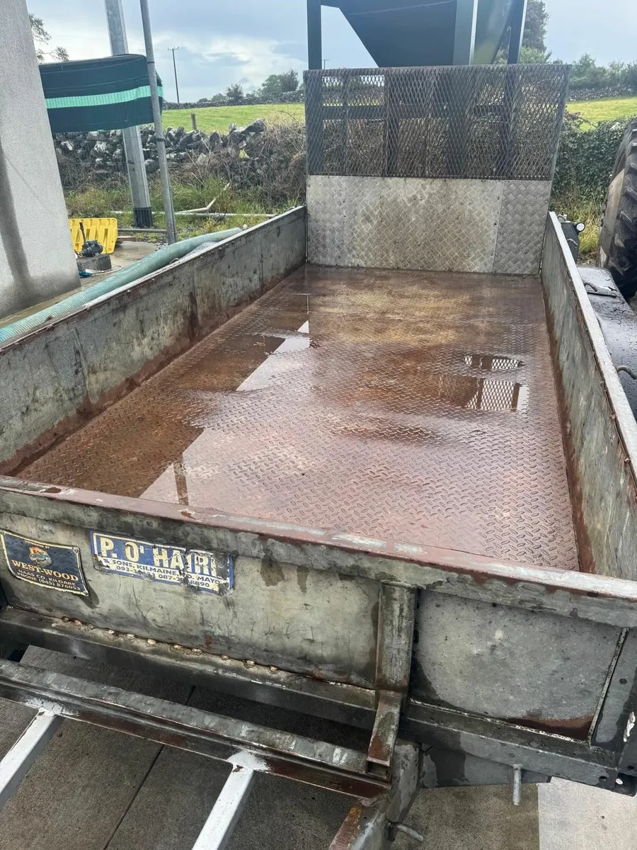 Ivor Williams Plant Trailor 12x6, Good Brakes, LED - Image 3