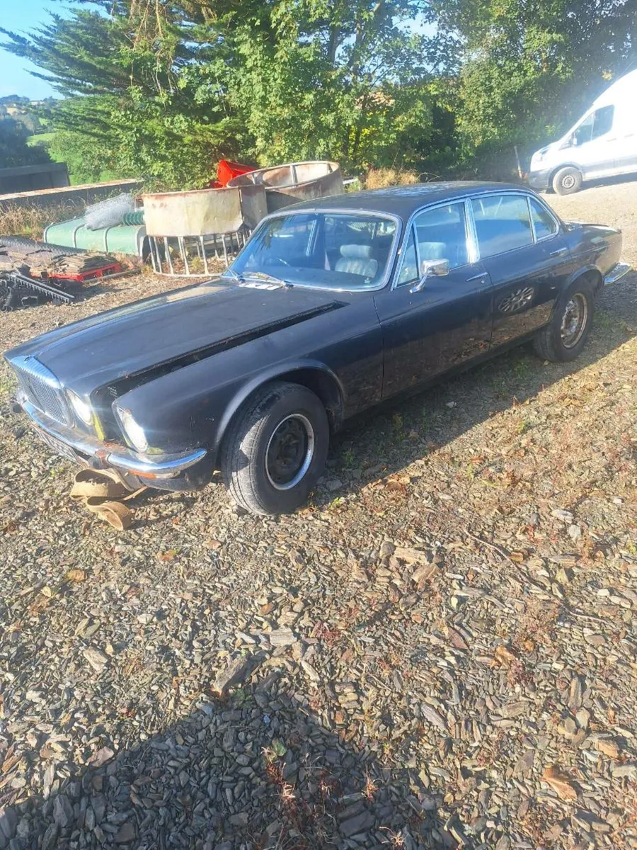 Jaguar - Image 1