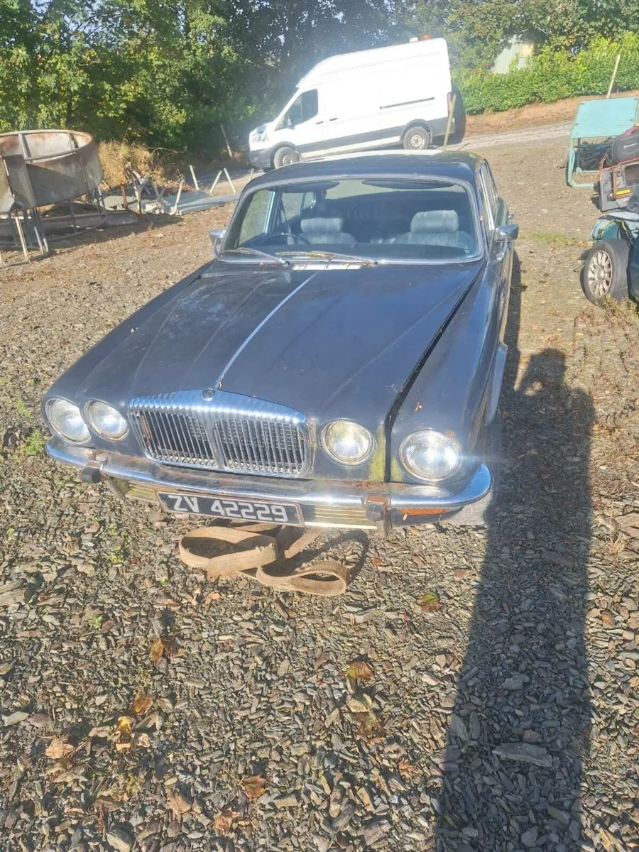 Jaguar - Image 2