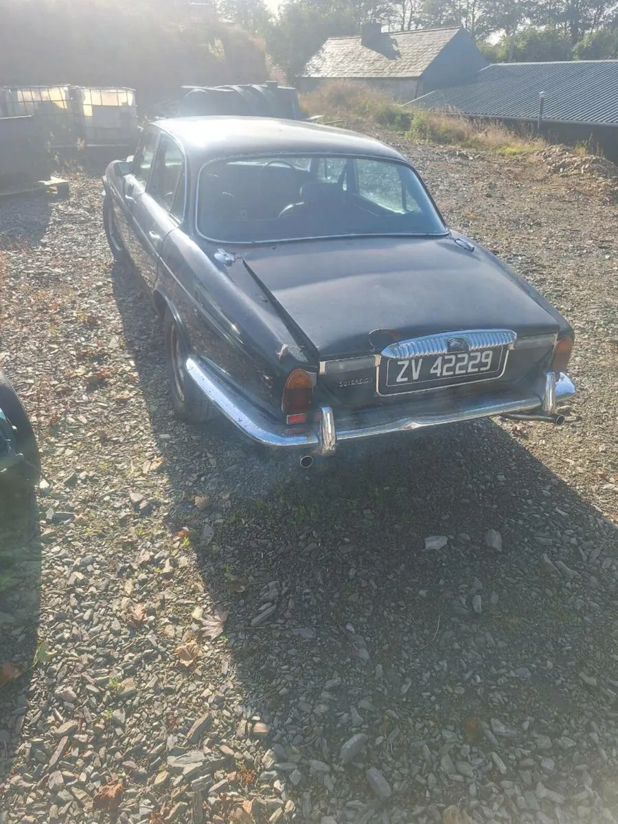 Jaguar - Image 4