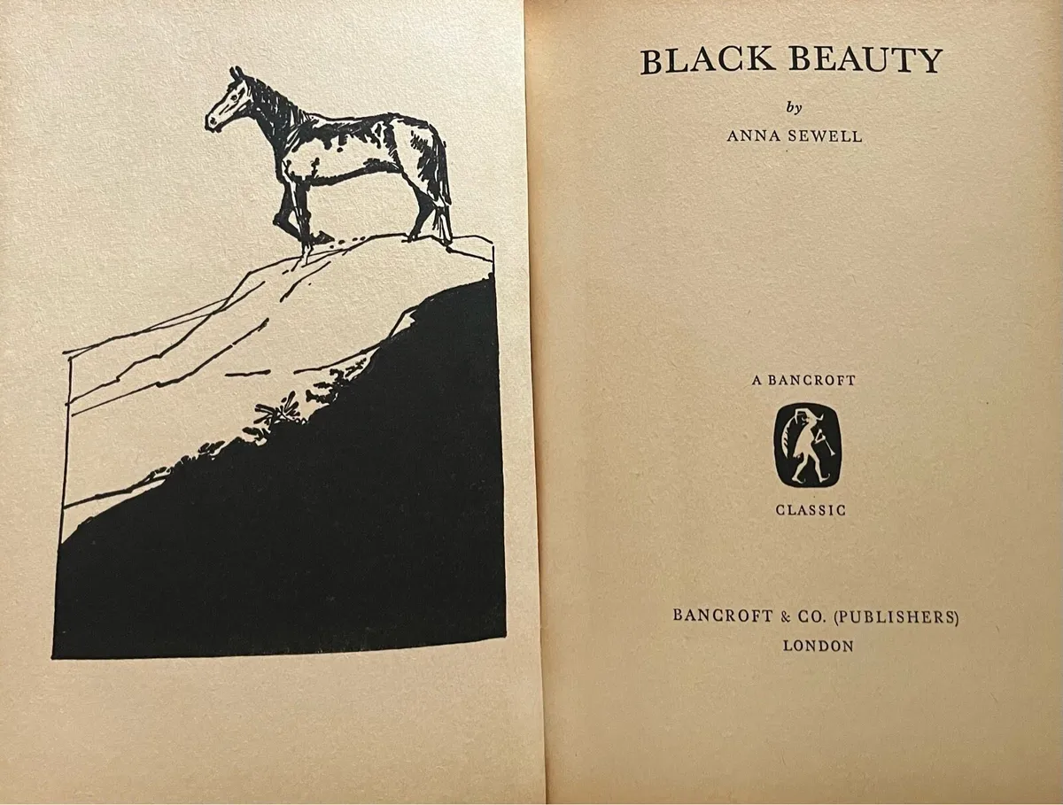 Black Beauty - Image 2
