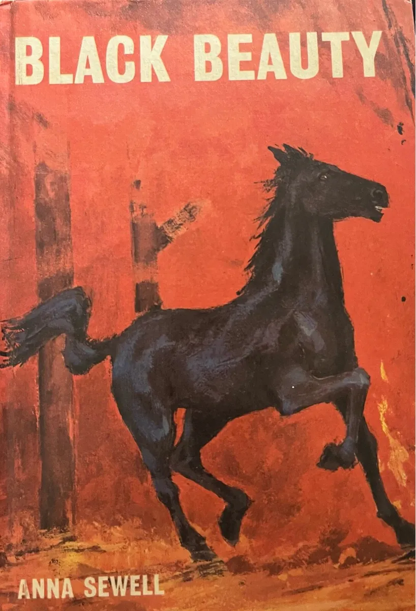 Black Beauty - Image 1