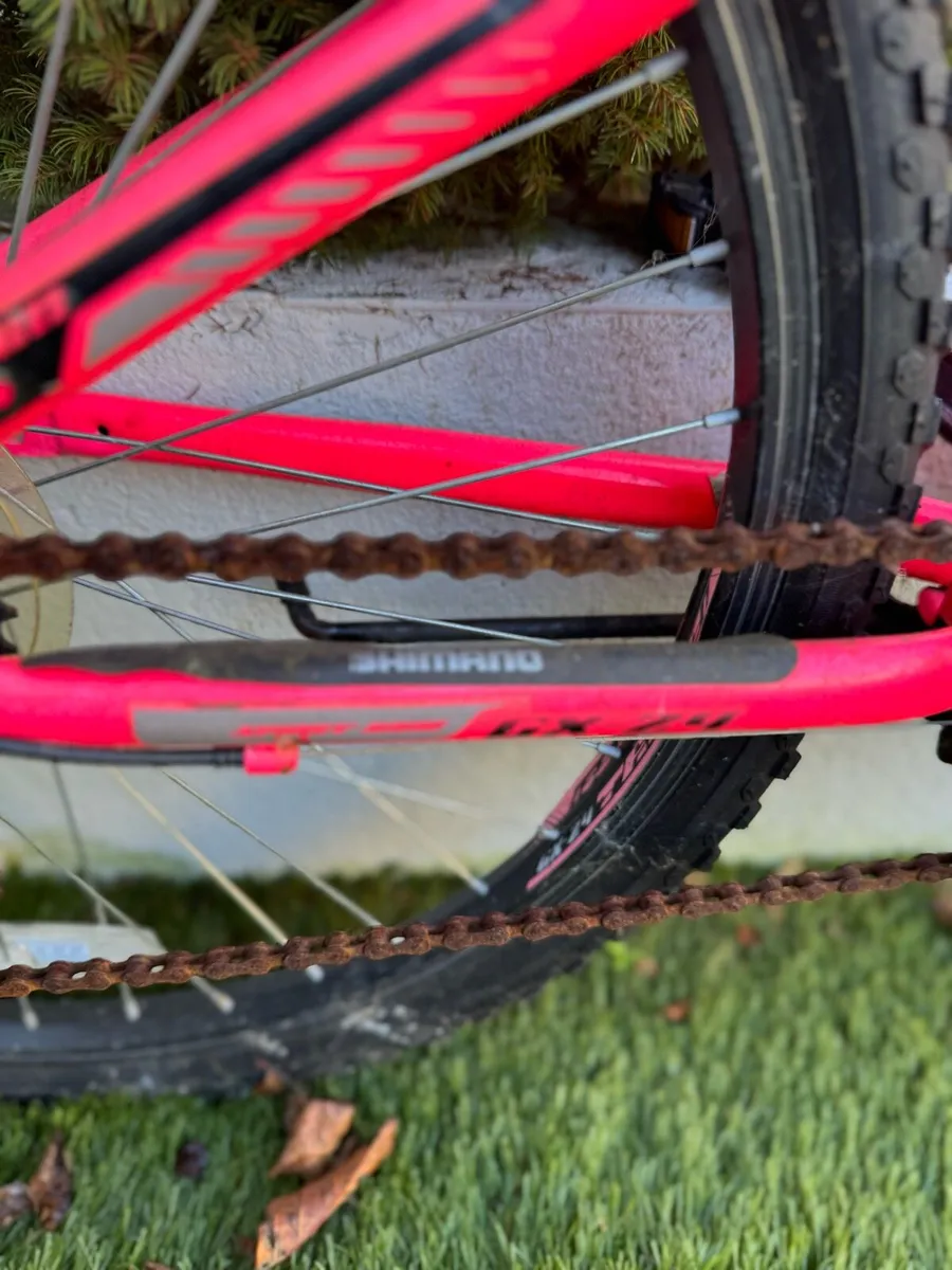 Girls Bike 24” - Image 3