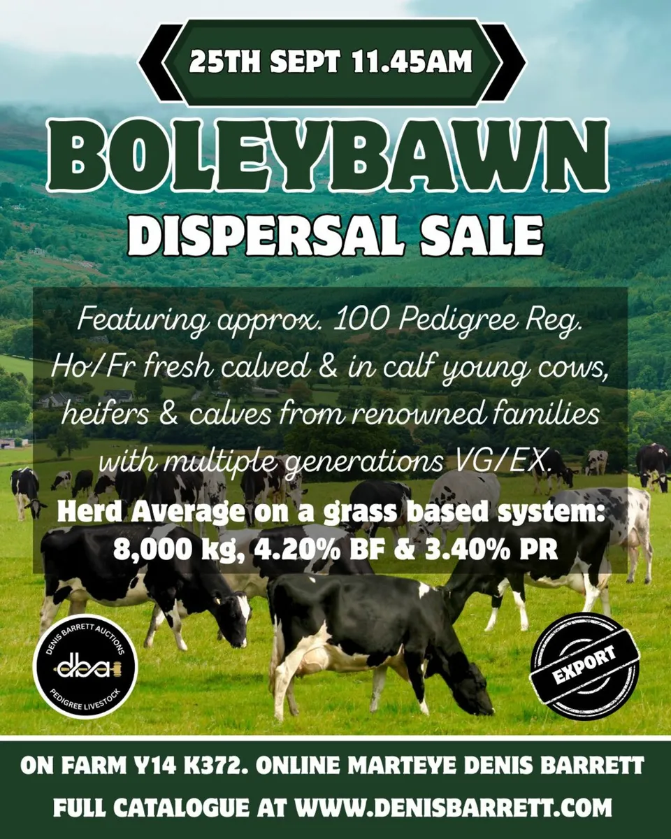 Holstein/Friesian Boleybawn Dispersal