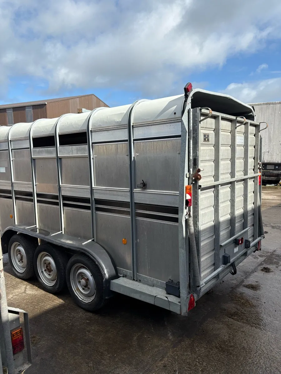 Ifor Williams tri axle  cattle trailer - Image 4