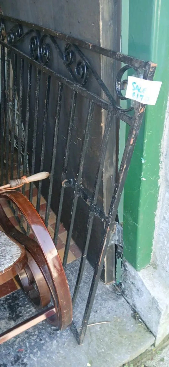 Pair of Iron gates - Image 1