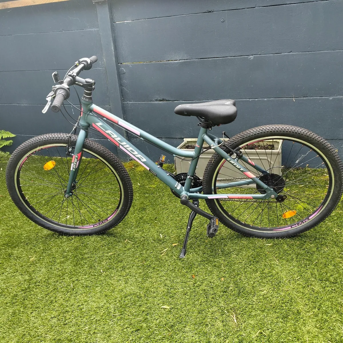 Girls Mountain Bike - Image 1