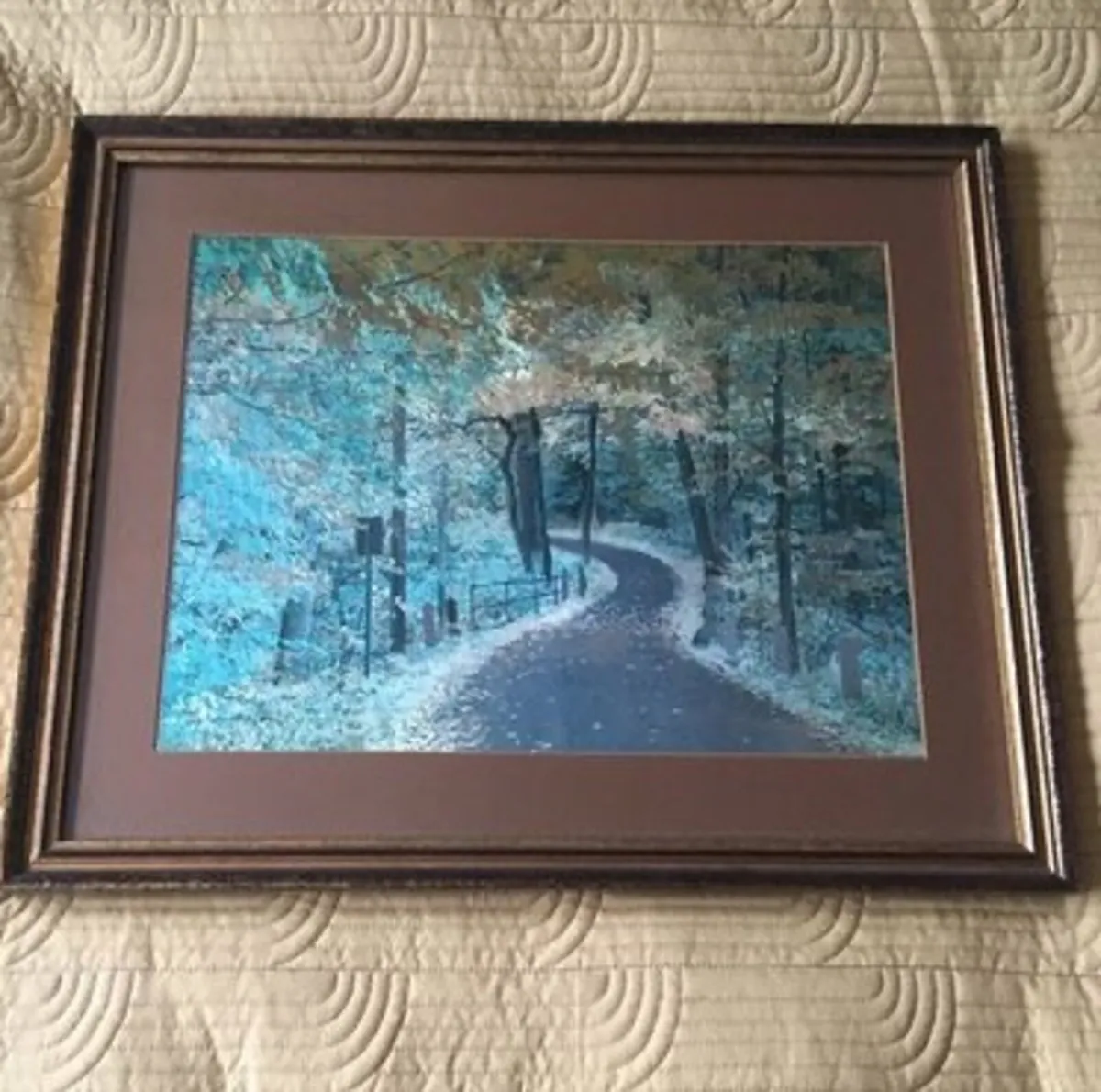 Picture of entrance to forest - Image 1