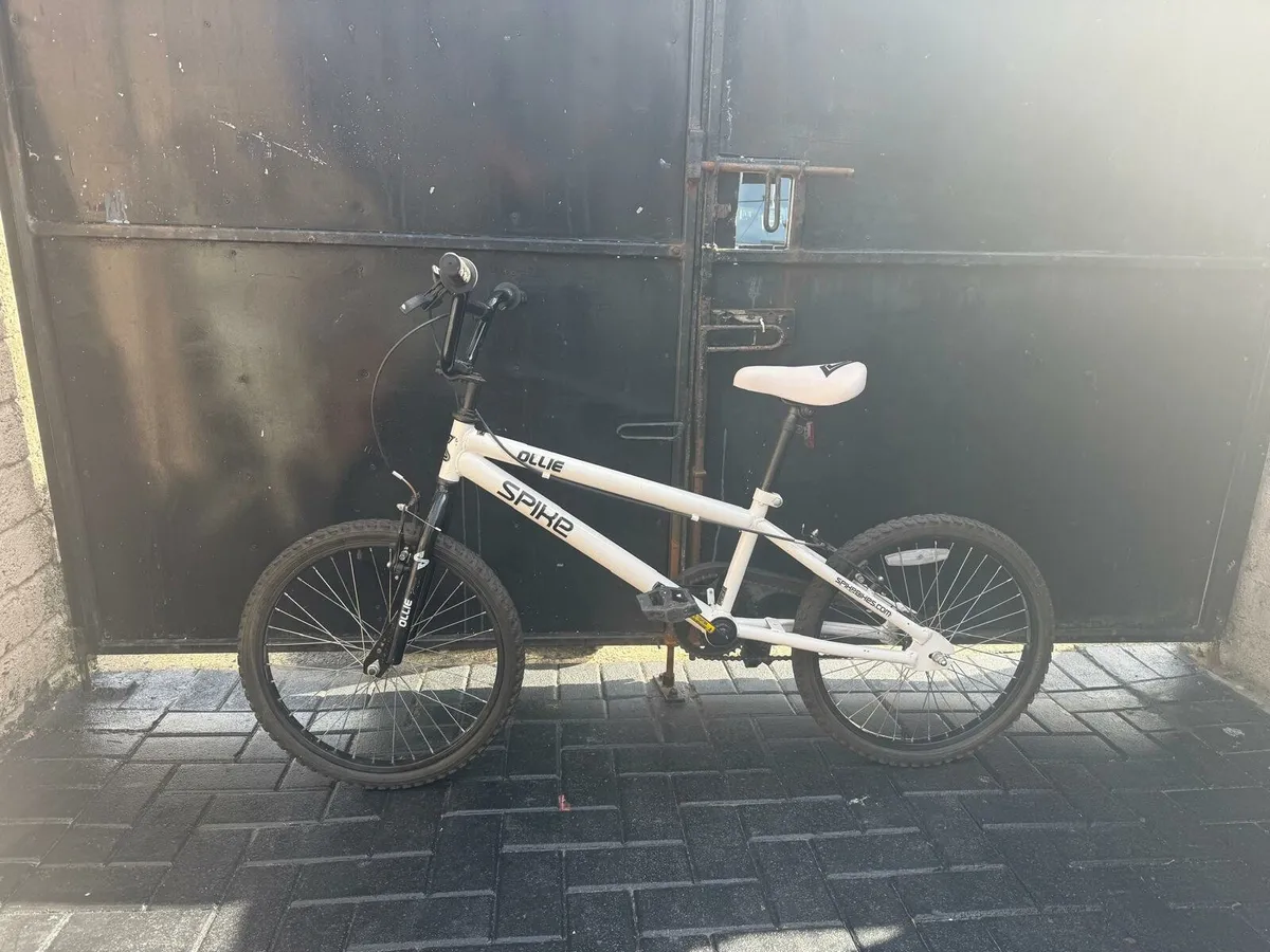 Spike Kids Mountain Bike