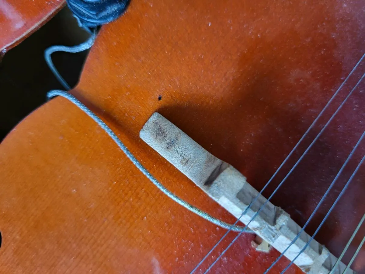 Mandolin - Image 2