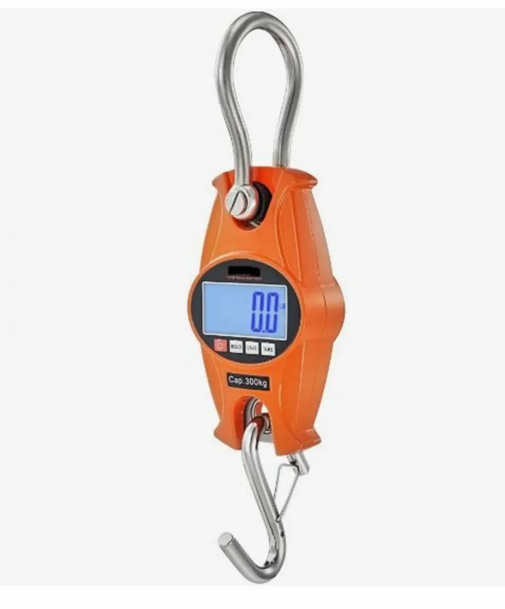 Digital Crane Scale, 660 lbs/300 kg - Image 3