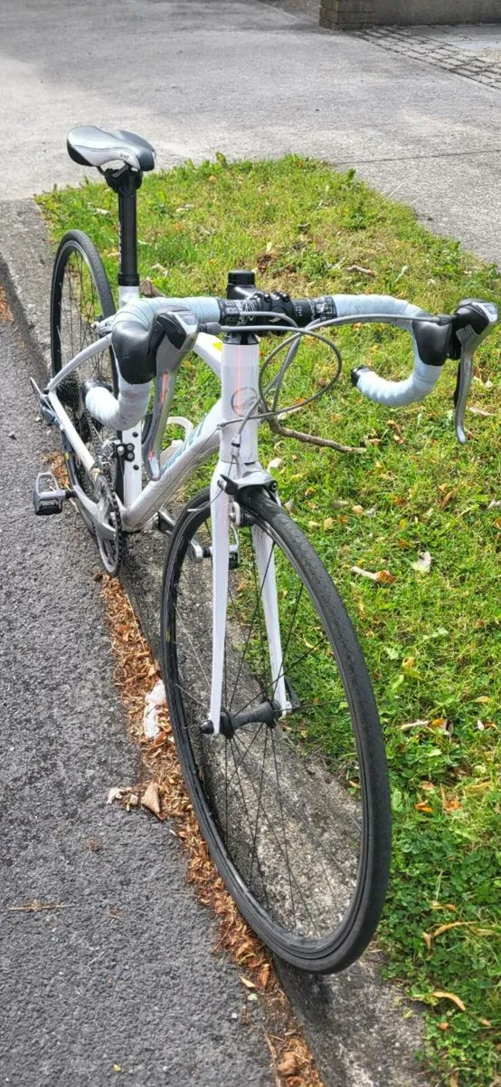 Ladies Giant Avail 2 road bike - Image 2
