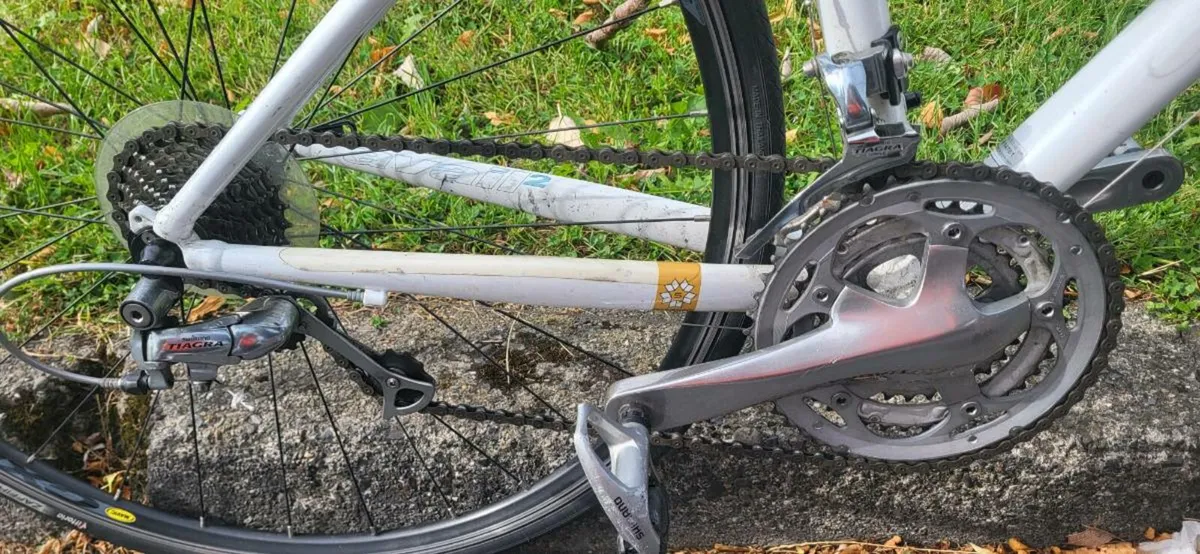 Ladies Giant Avail 2 road bike - Image 4