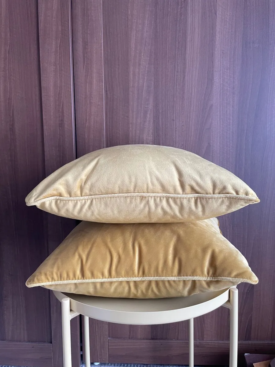 Pair of cushions - Image 1