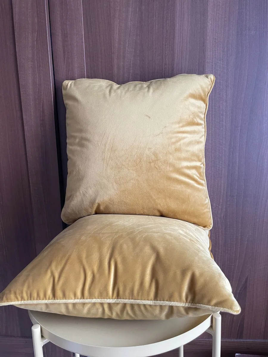 Pair of cushions - Image 2
