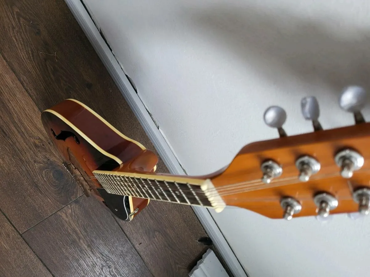 Mandolin - Image 4
