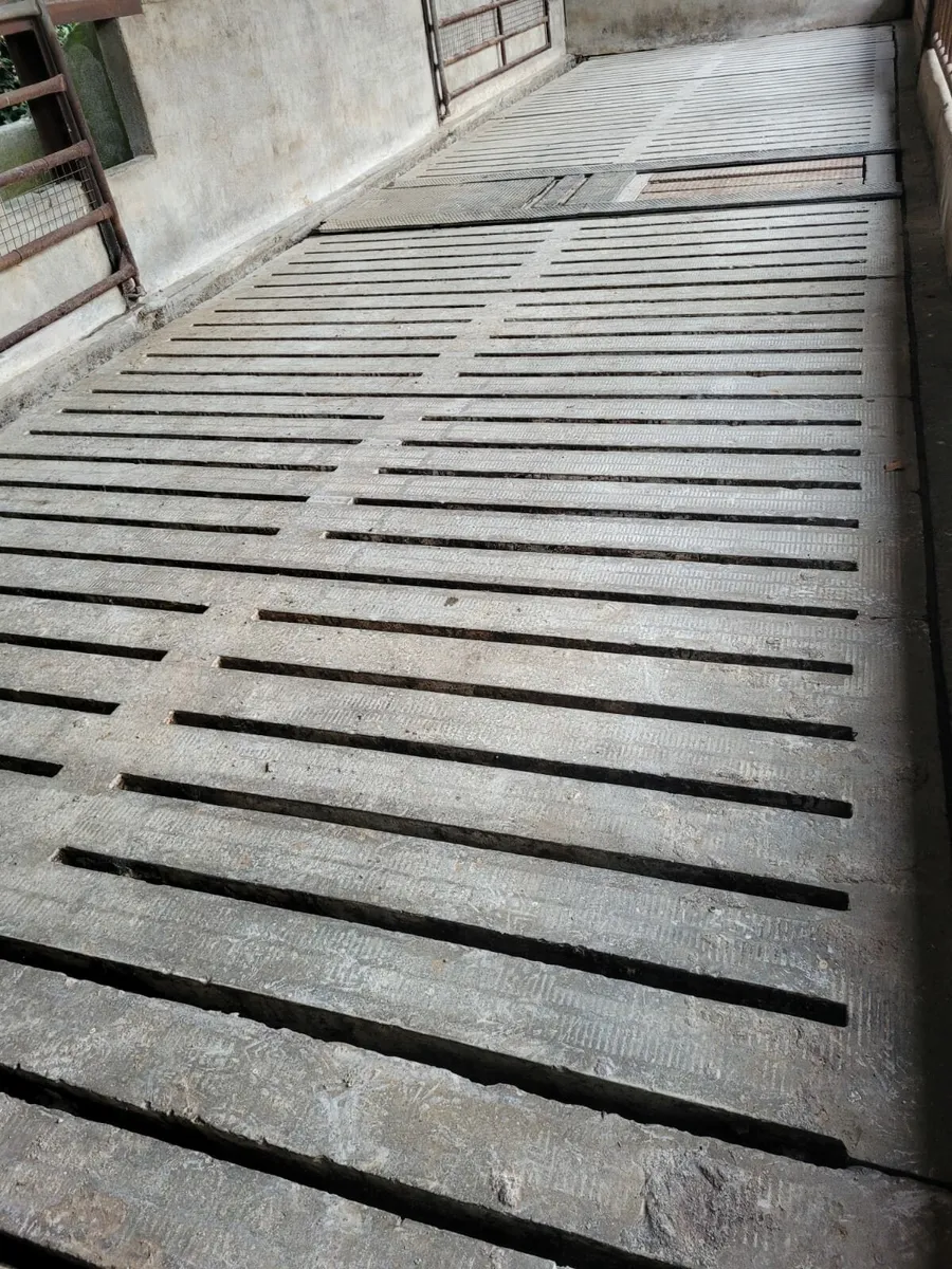 Used Cattle Slats - Image 2
