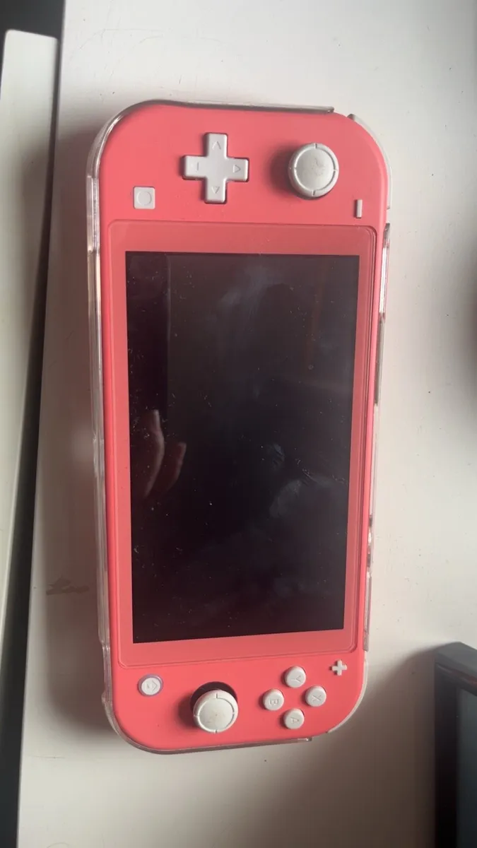 Nintendo switch lite