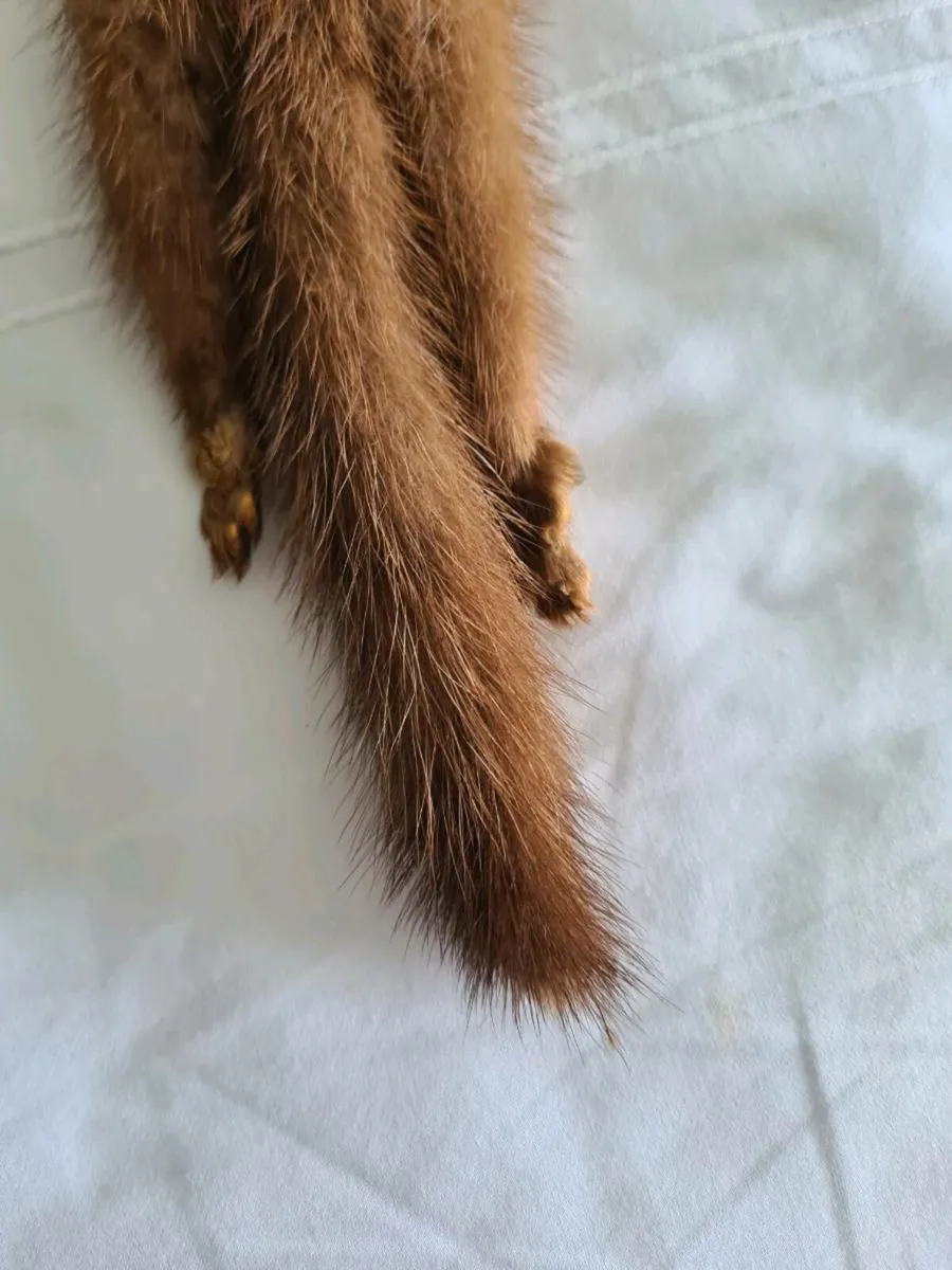 Mink Ties - Image 3