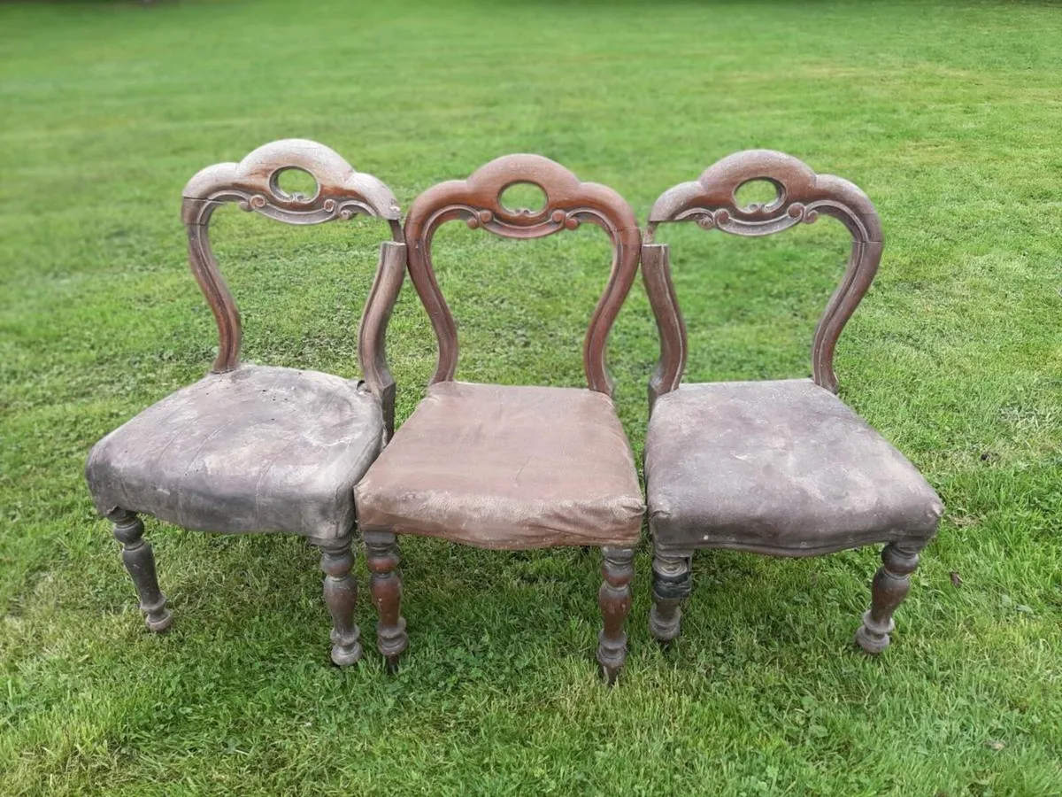 Antique Dining Chairs - Image 1