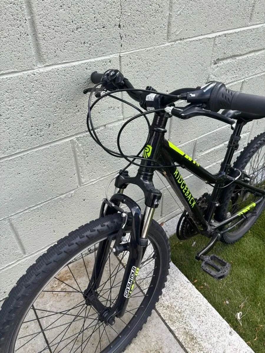 Ridgeback Junior Bike for boys - Image 3