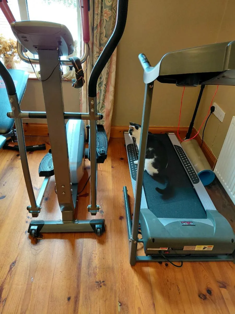Exercise Equipment - Image 2