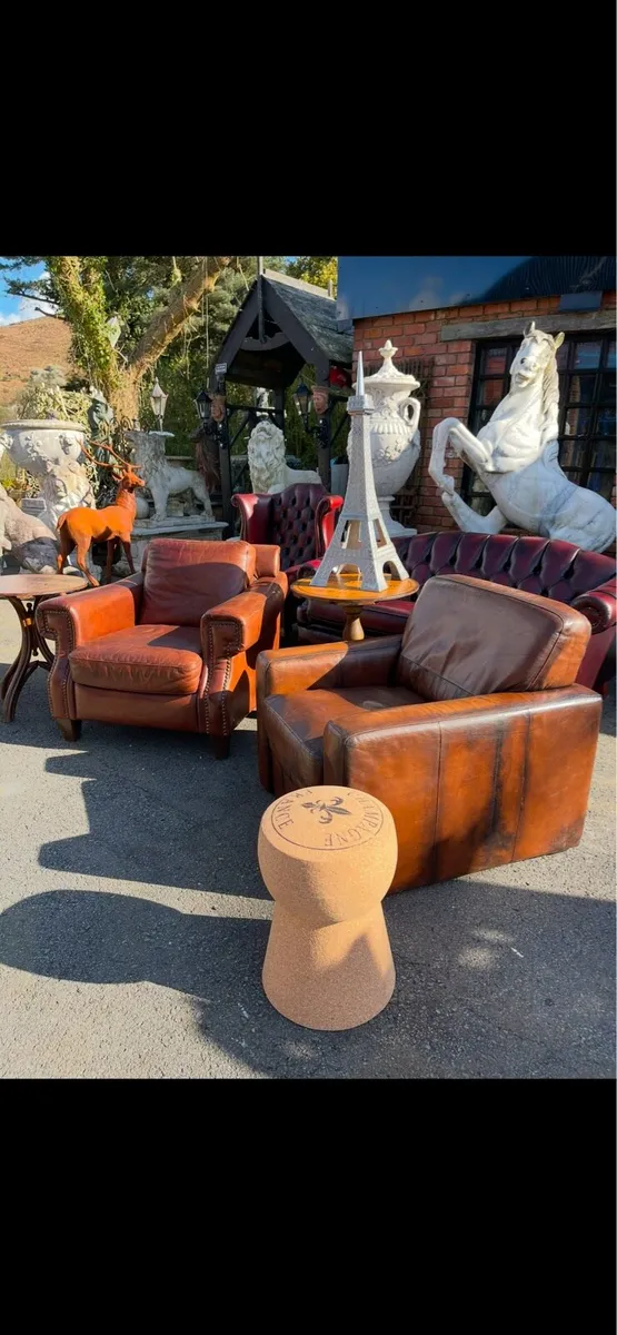 🇫🇷 French club chair - Image 2