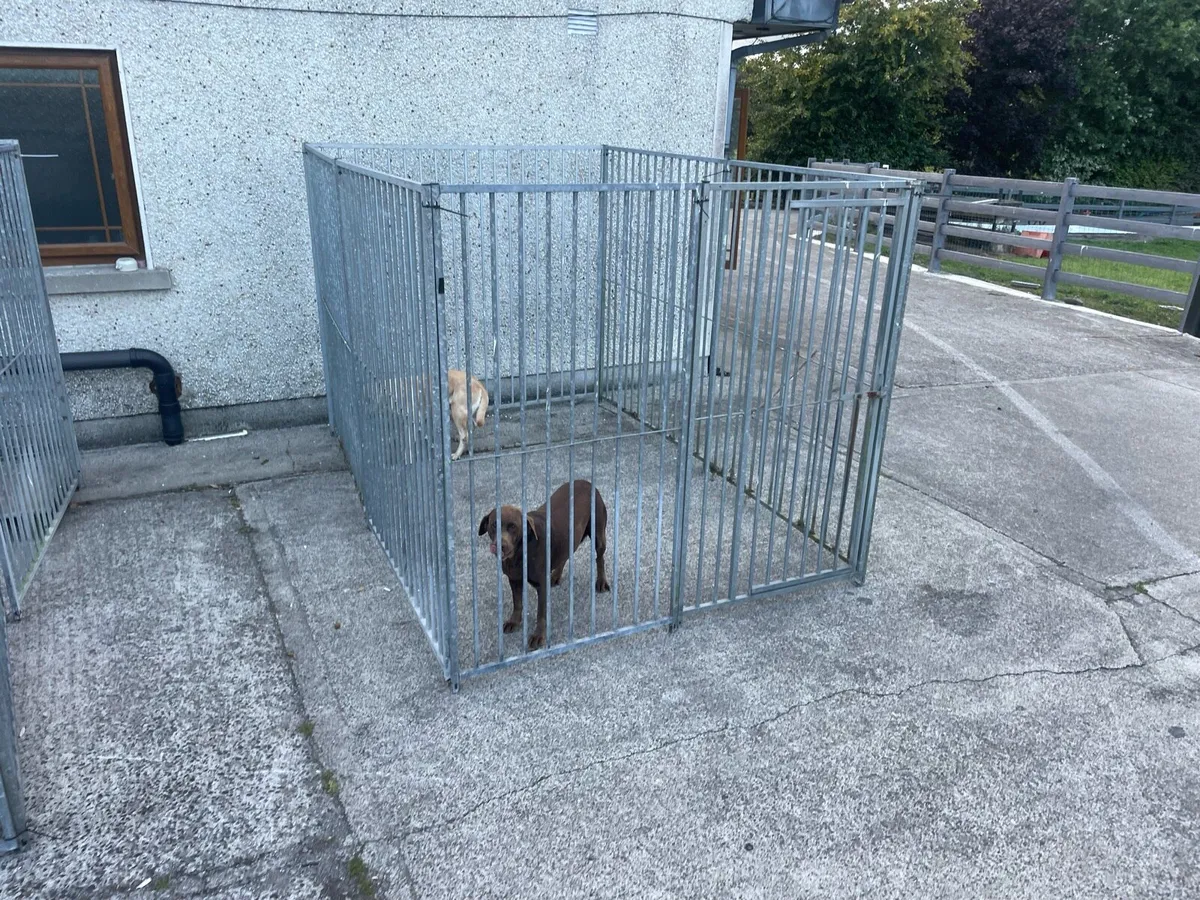 Dog run enclosure - Image 1