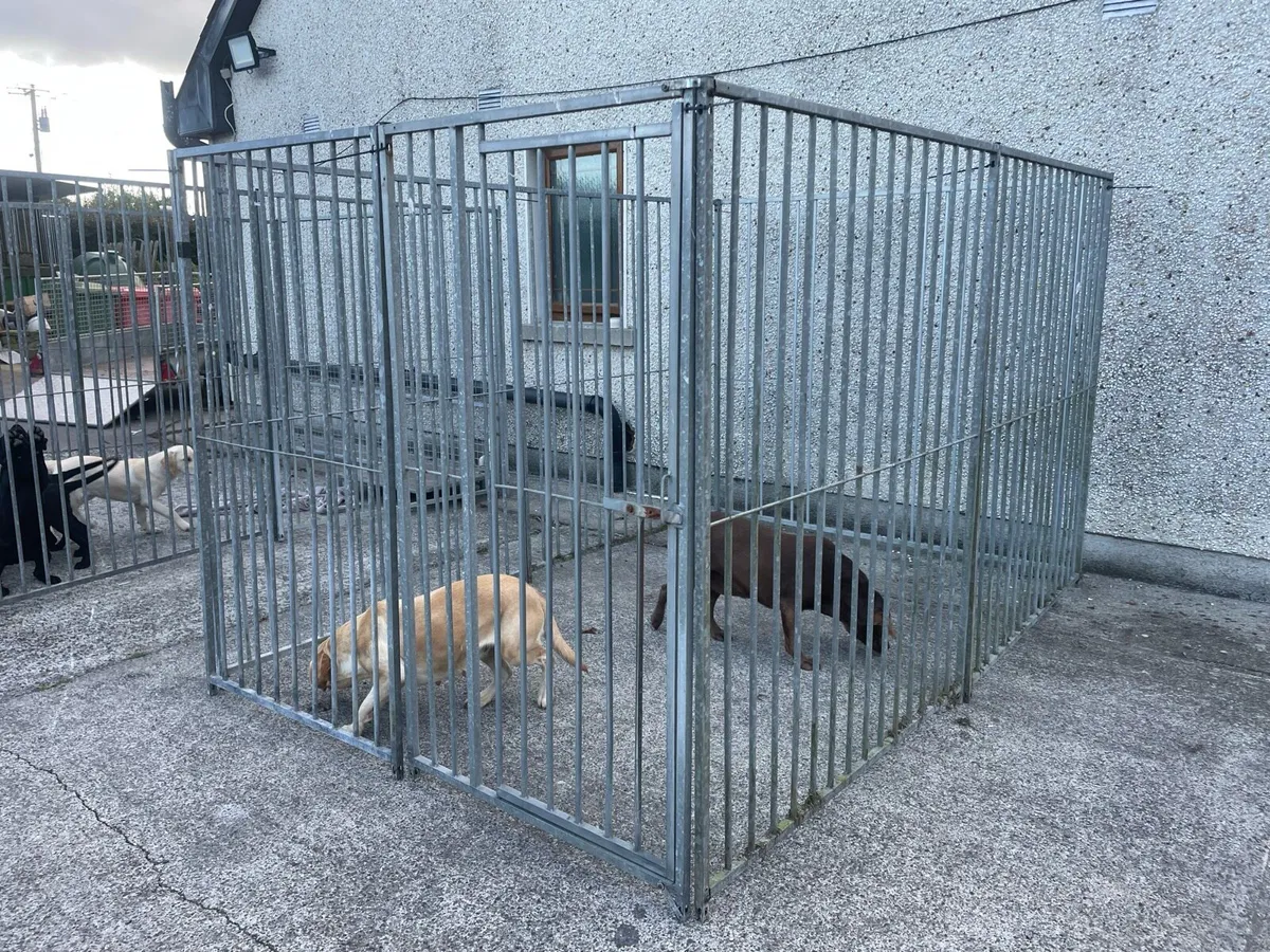 Dog run enclosure - Image 3