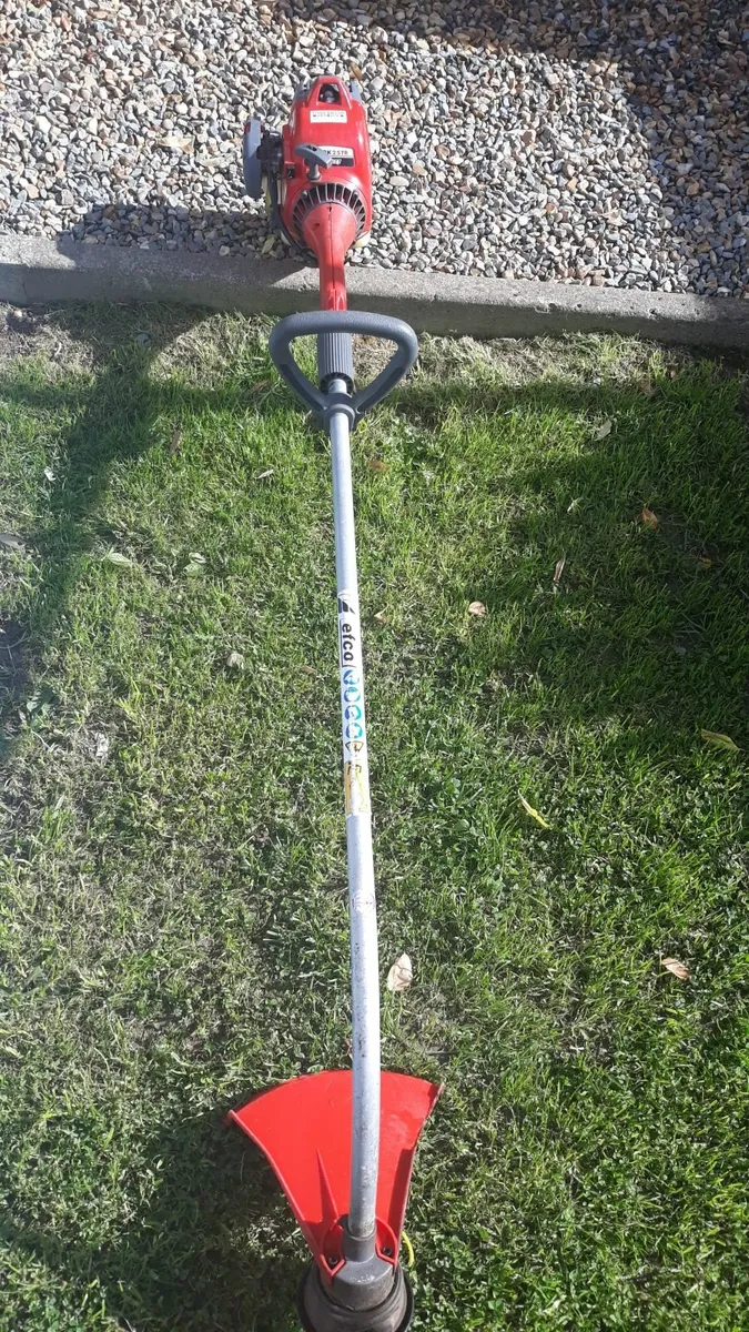 Petrol strimmer - Image 2