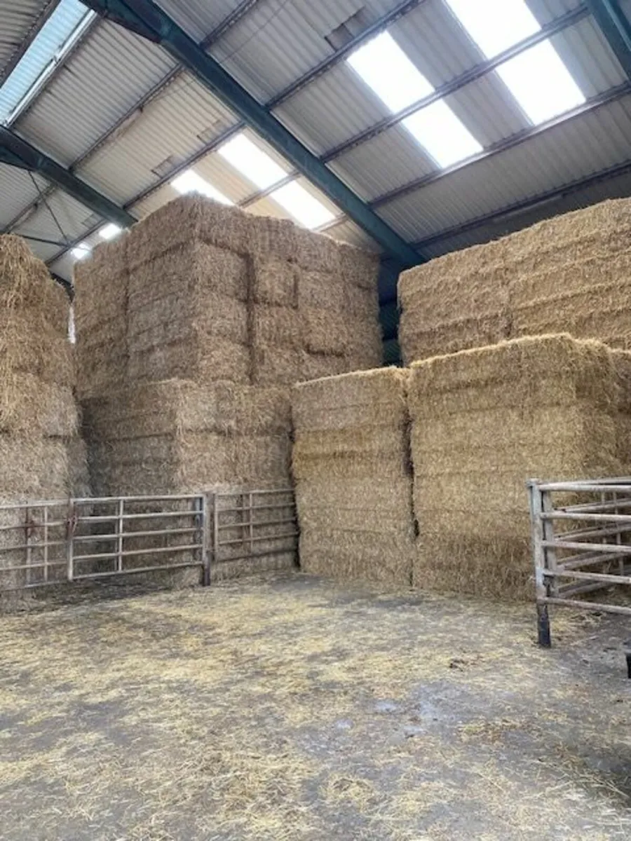 Straw for Sale - Image 1