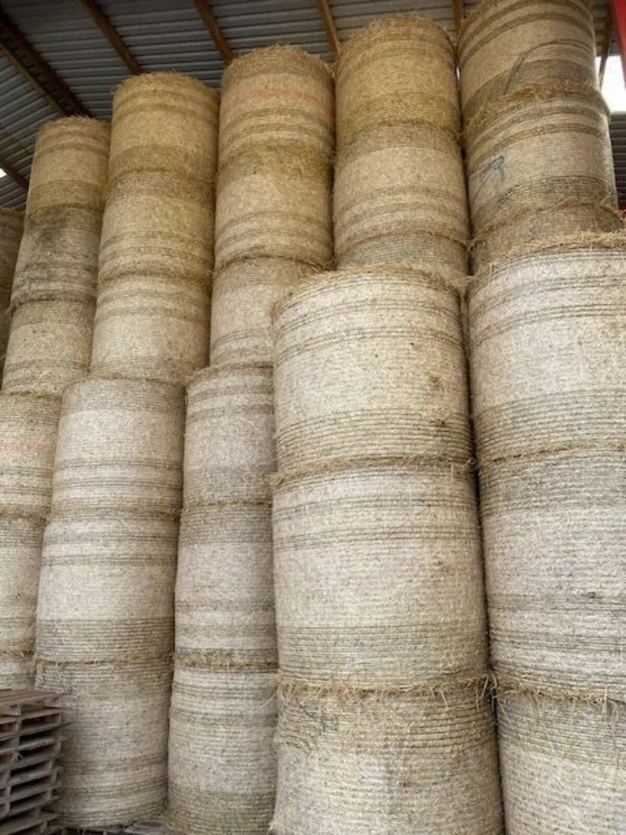 Straw for Sale - Image 2
