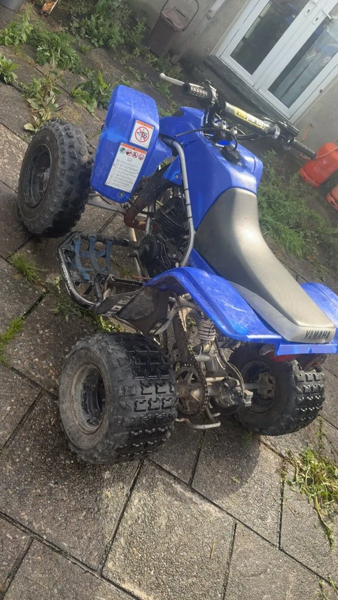 Yamaha blaster 200 - Image 1