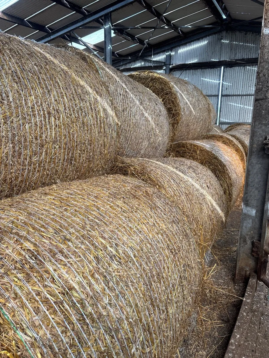 Straw