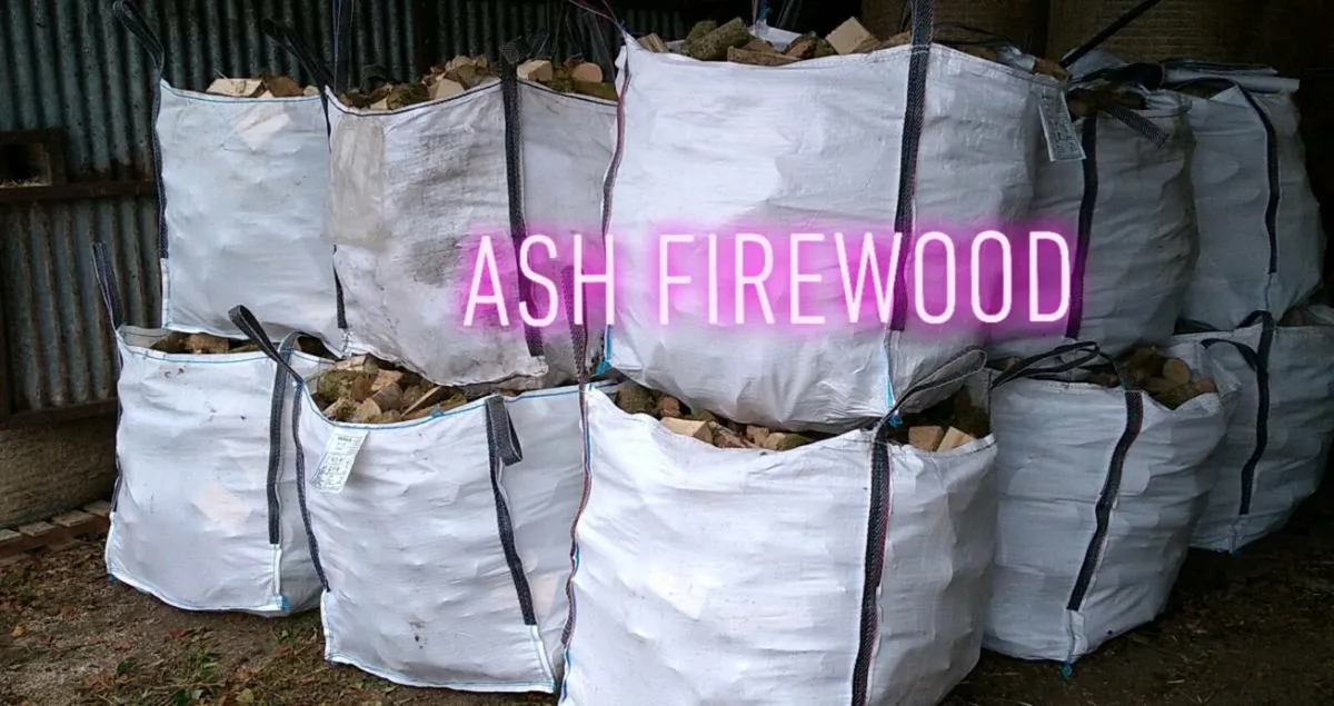 Firewood - Image 1