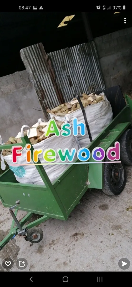Firewood - Image 3