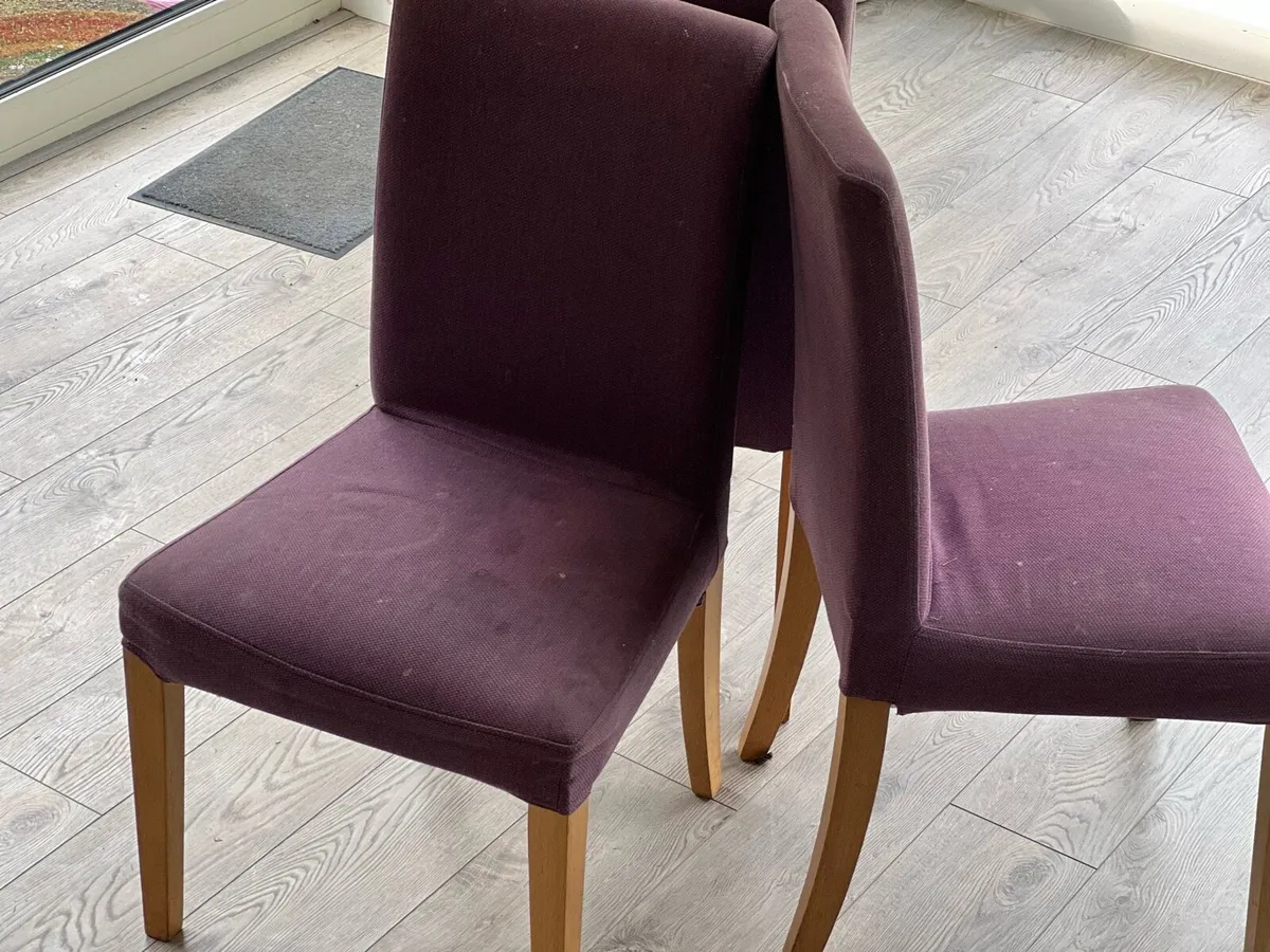 5 dining chairs