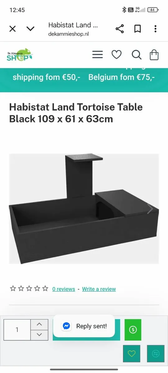 Russian tortoise and brand new tortoise table - Image 4