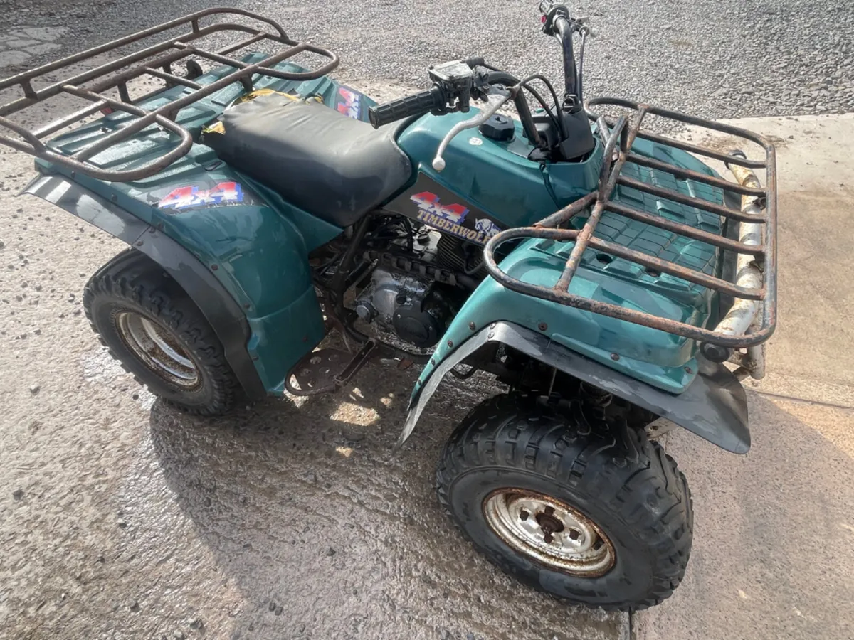 Yamaha 250 Timberwolf 4x4 - Image 1
