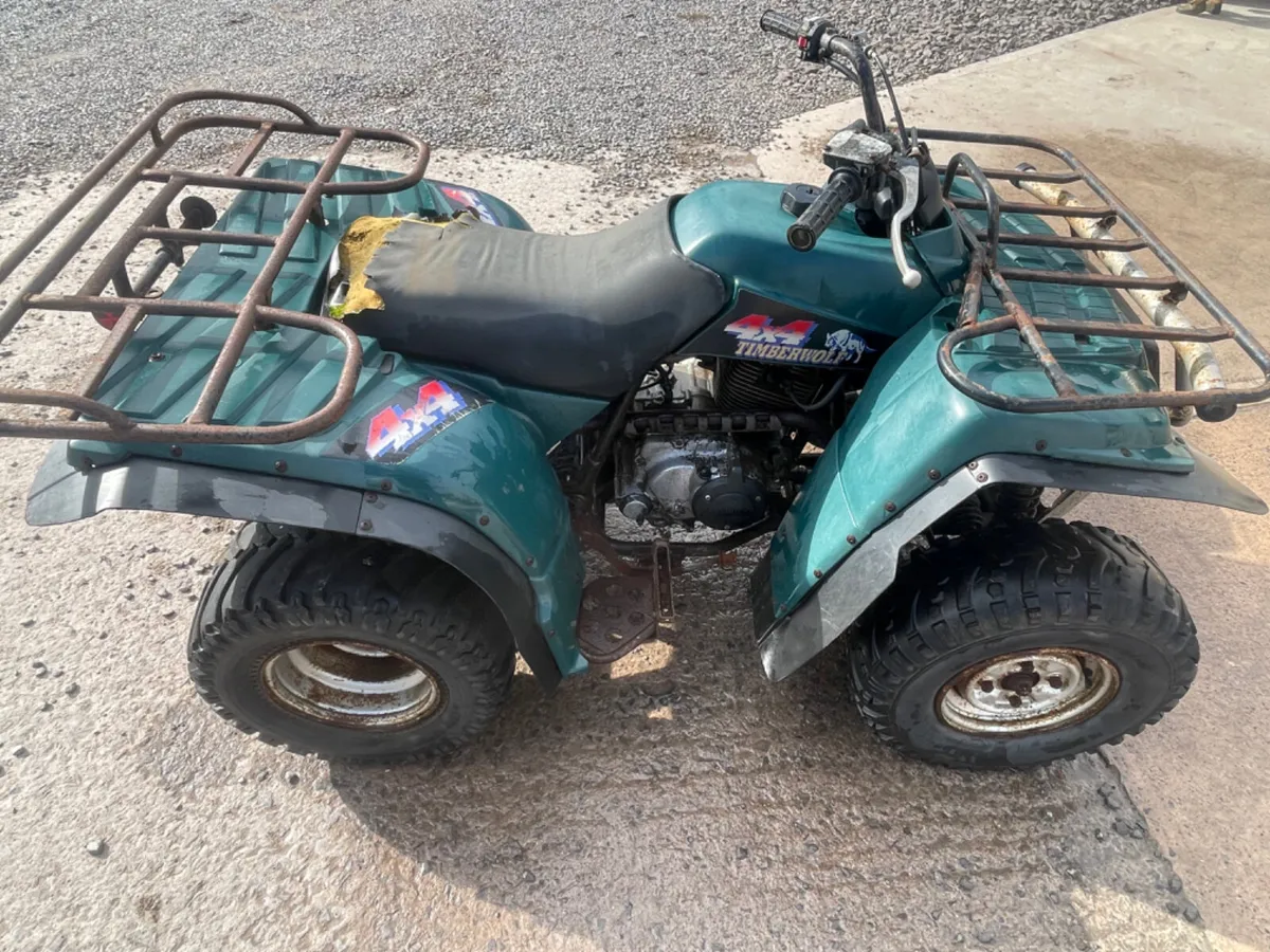 Yamaha 250 Timberwolf 4x4 - Image 2