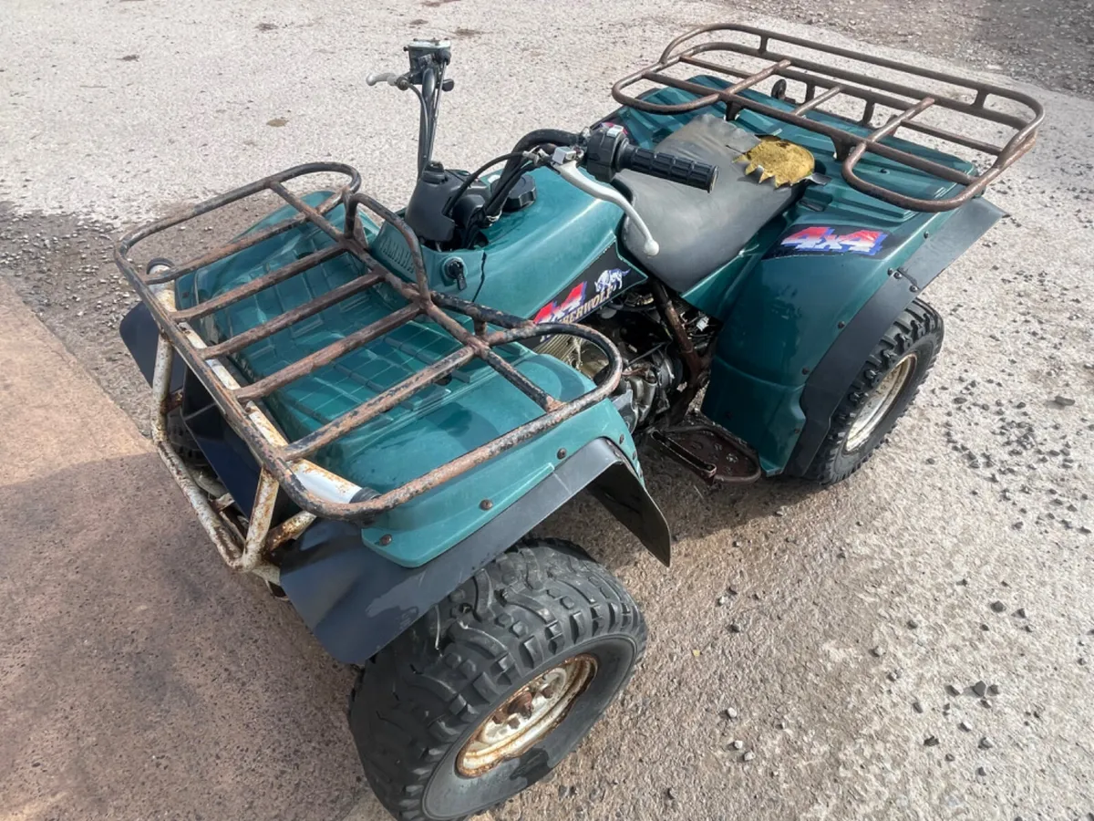 Yamaha 250 Timberwolf 4x4 - Image 4